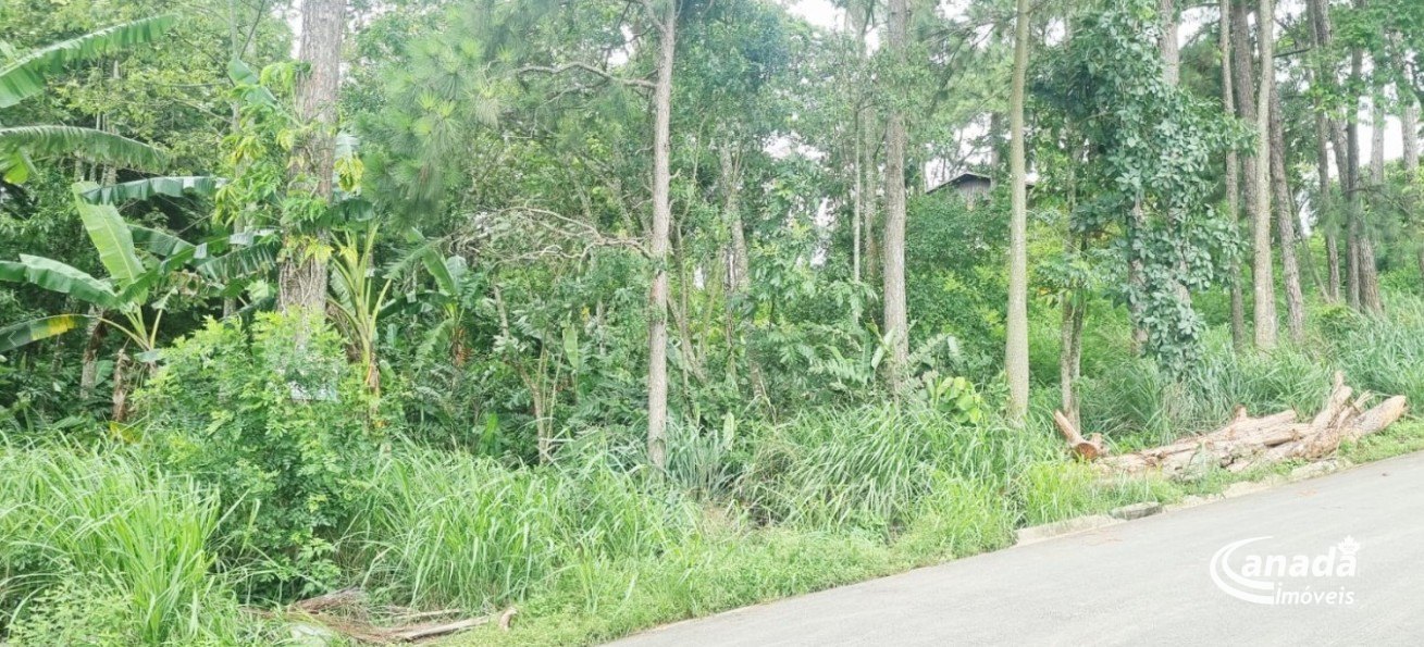 Terreno em Santana de Parnaíba